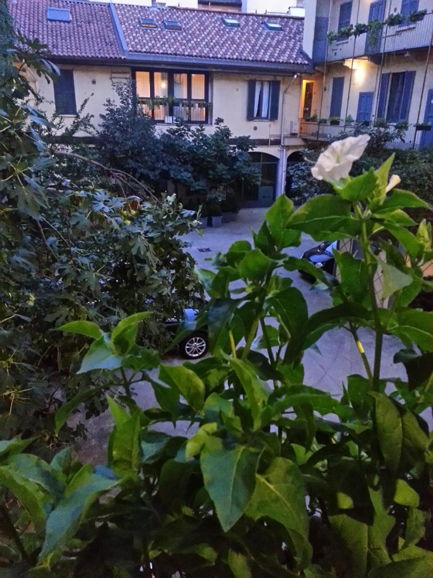 Gioia House Acomodação com café da manhã Milão Exterior foto
